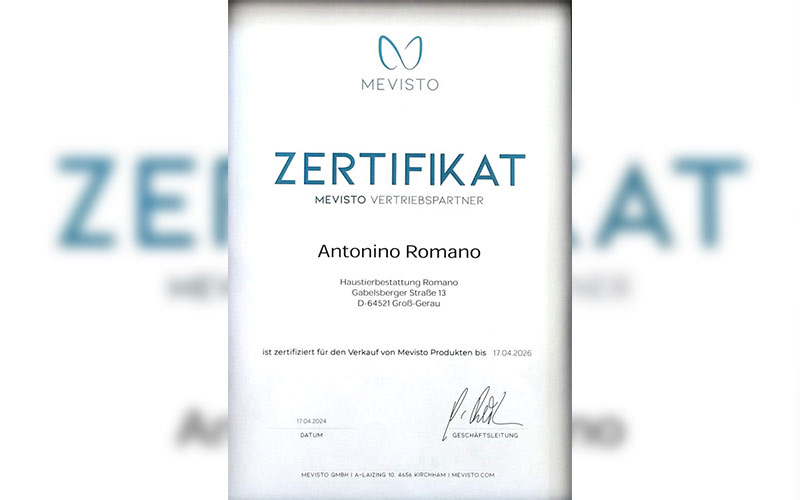 Mevisto-Zertifikat