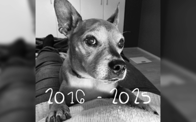 Liebster Freund