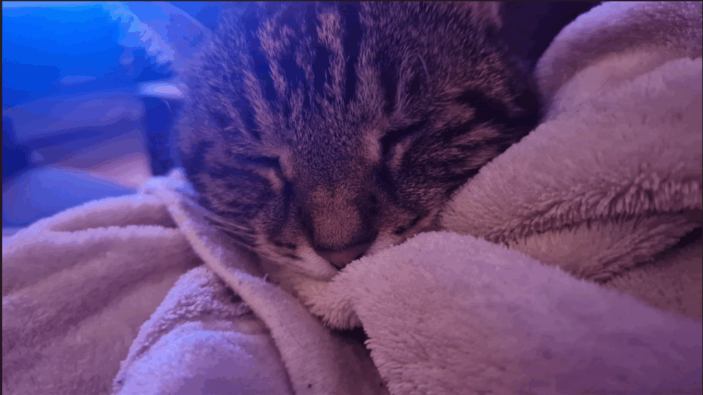 Unsere kleine Lucy