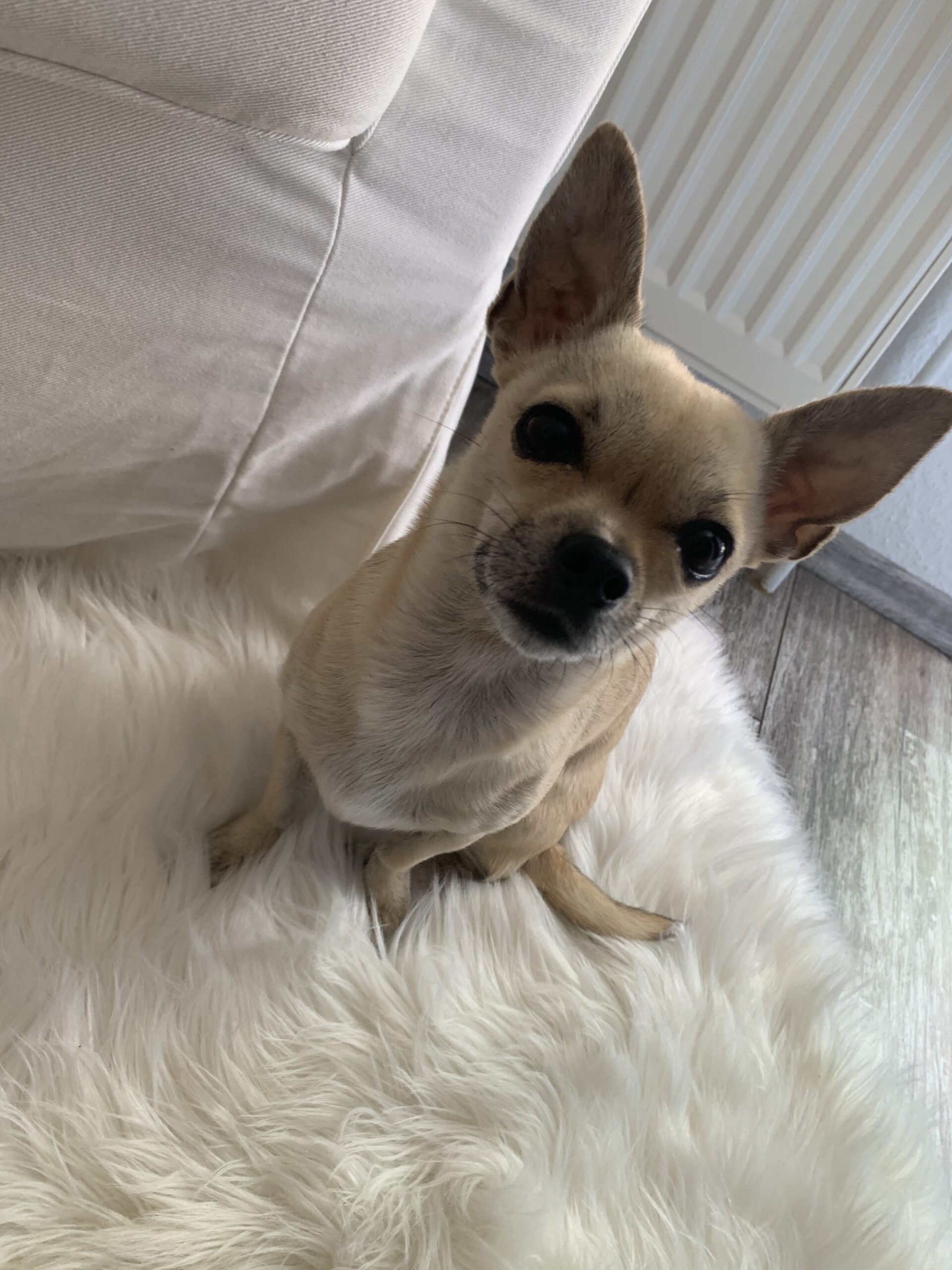 Emma-Kreis-Offenbach Emma-Kreis-Offenbach