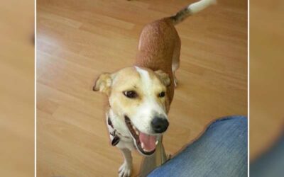 In Erinnerung an Dany 18.12.2025