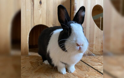 Wir werden immer an dich denken Lotte