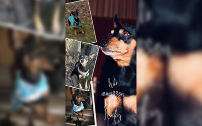 Ruhe in Frieden Mein kleiner Mann