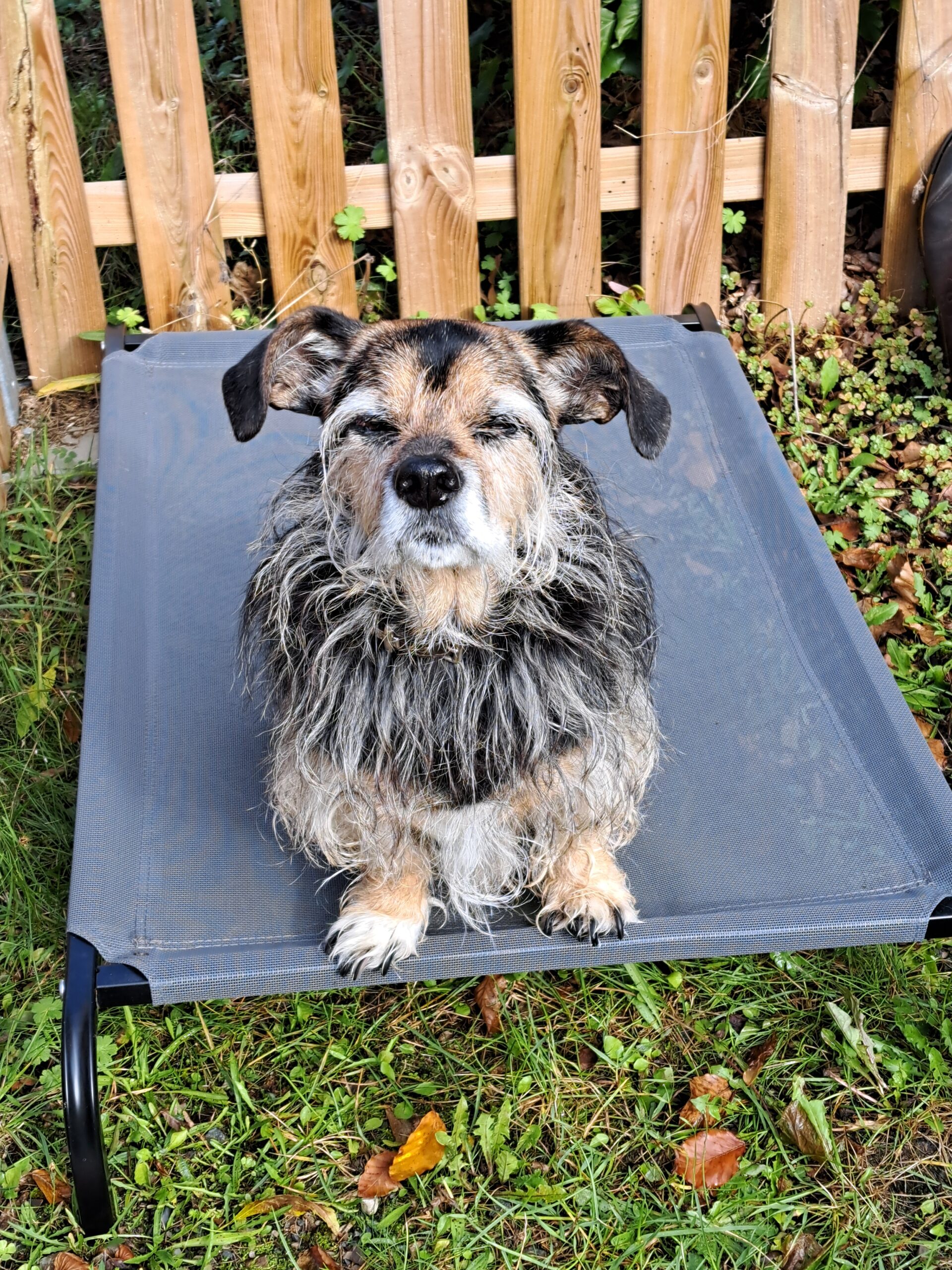 Cleo-aus-Offenbach-Bieber