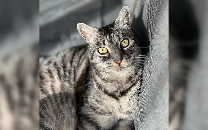 Freddy-aus-Offenbach