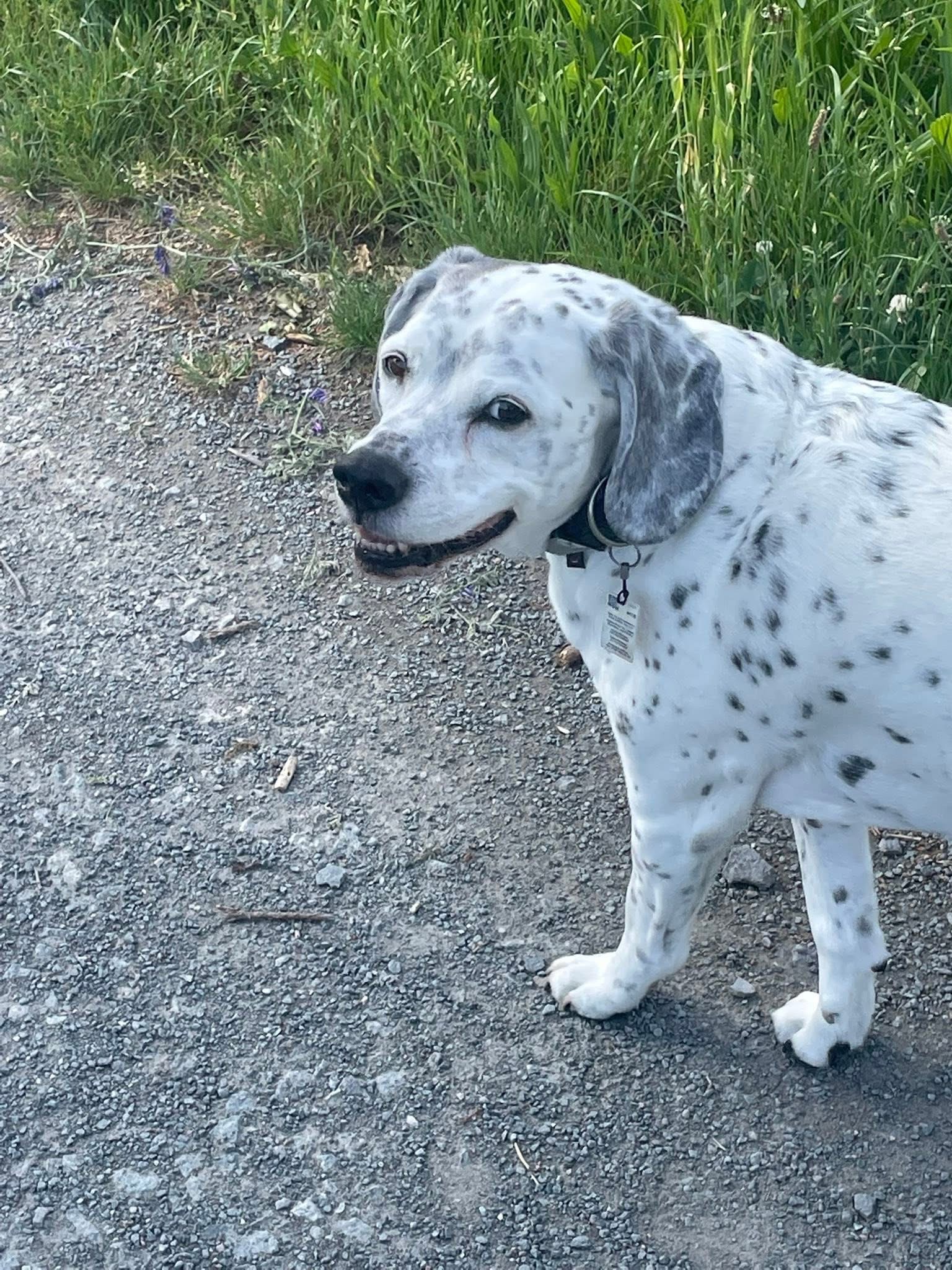 Snoopy aus Raunheim Snoopy aus Raunheim