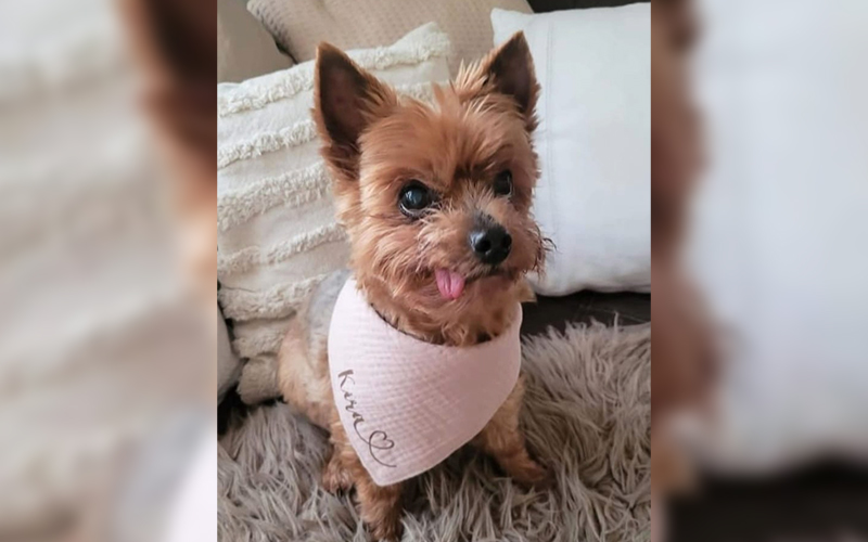 Kira-aus-Büttelborn