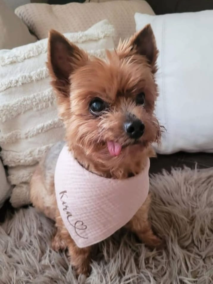 Kira-aus-Büttelborn