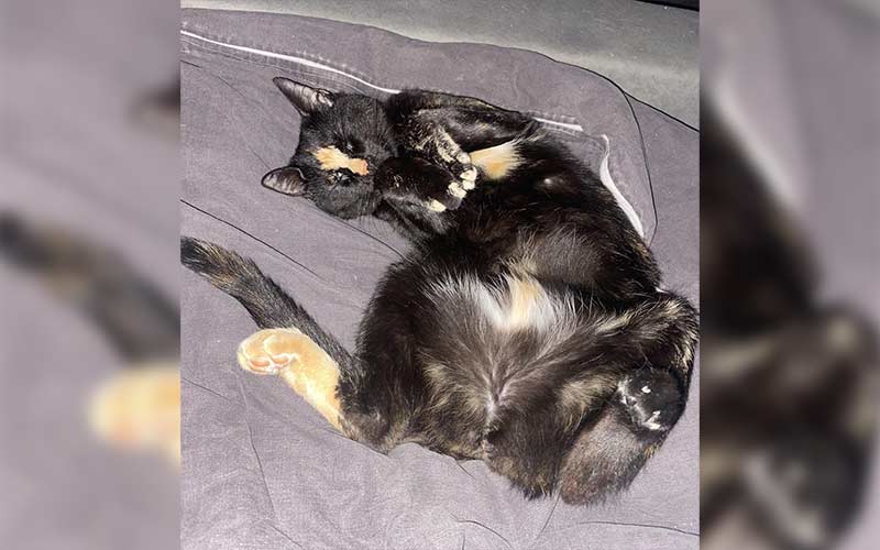 Bonni aus Bingen am Rhein