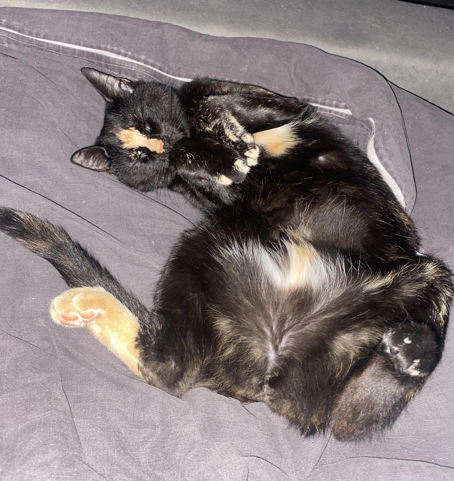 Bonni aus Bingen am Rhein