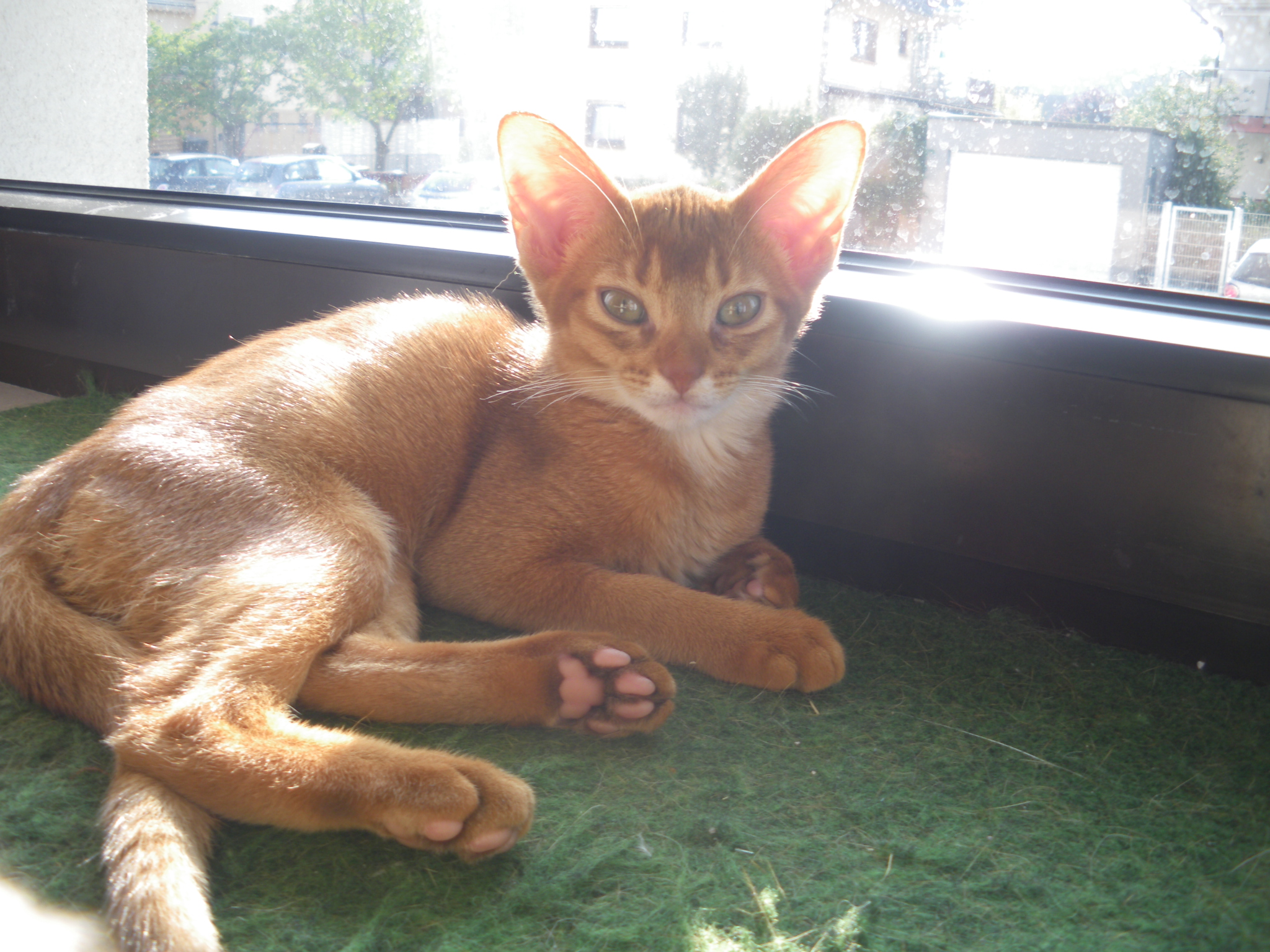 Lea aus Mörfelden Walldorf