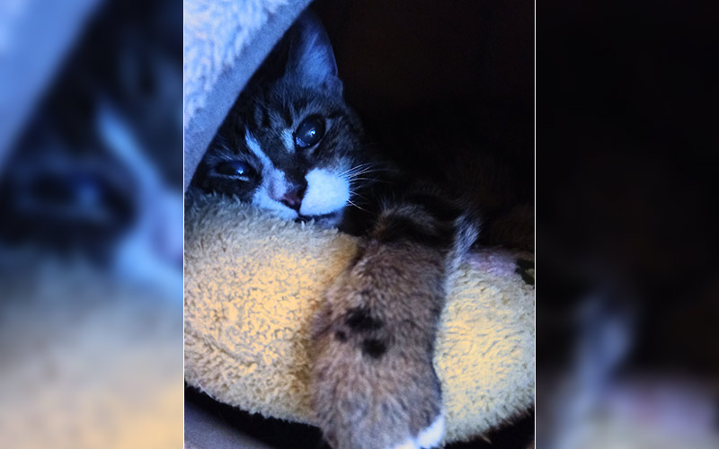 Jakob aus Eppertshausen