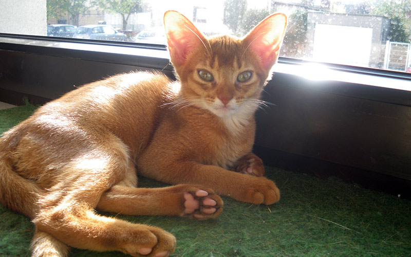 Lea aus Mörfelden Walldorf