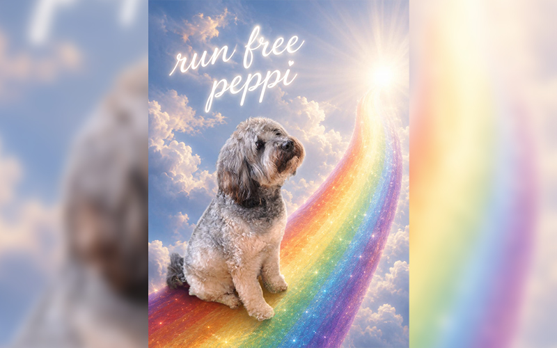 Peppi aus Dornheim