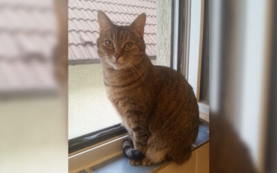 Lilly für immer in unseren Herzen