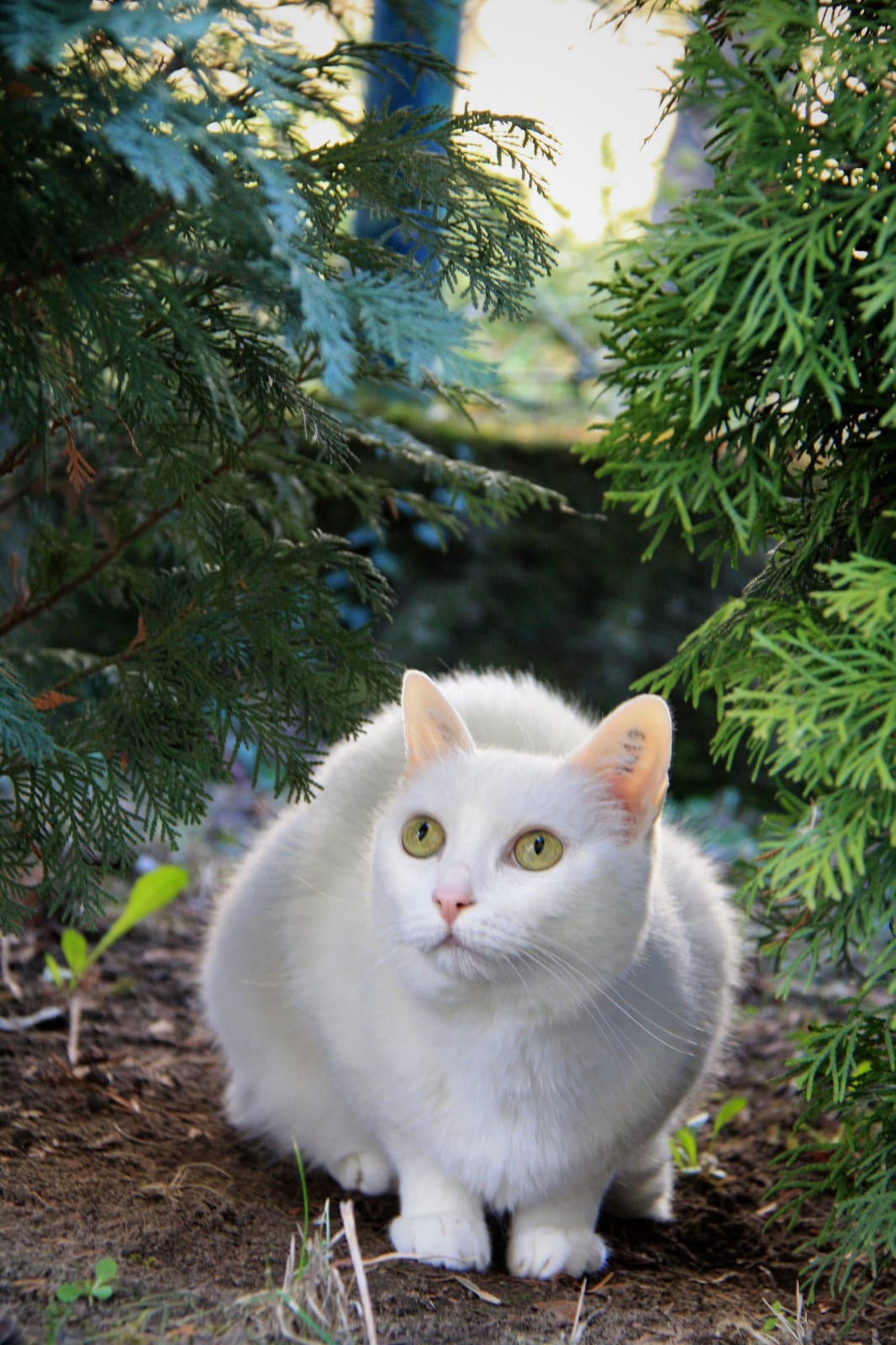 Momo aus Riedstadt Momo aus Riedstadt